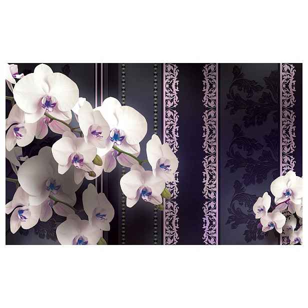Fototapeta flizelina Bílé orchideje na tmavém pozadí elegance 368x254 lepidlo