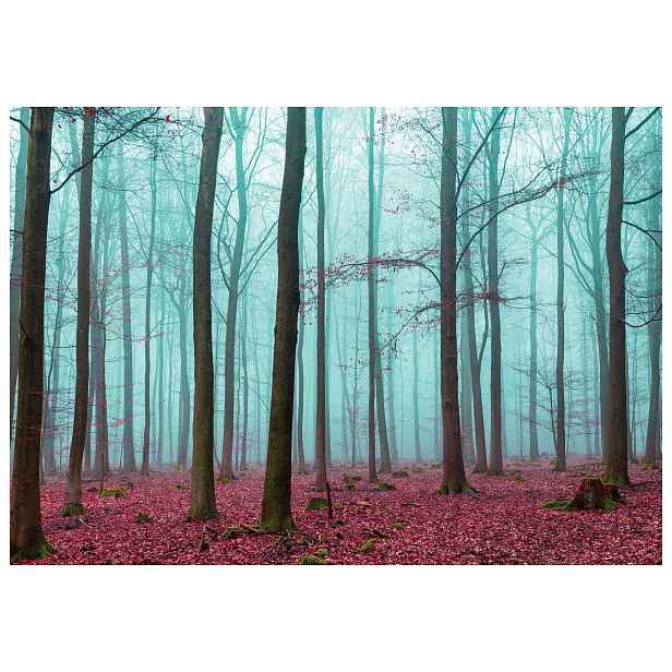 Fototapeta Podzimní les v mlze hnědo-červená 368x254 vinylová lepidlo