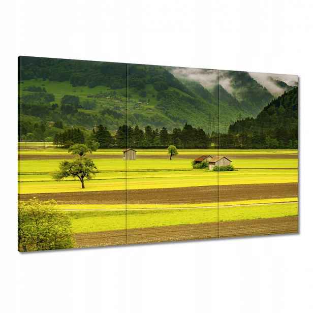 Obrazy 120x80 Zelené lány