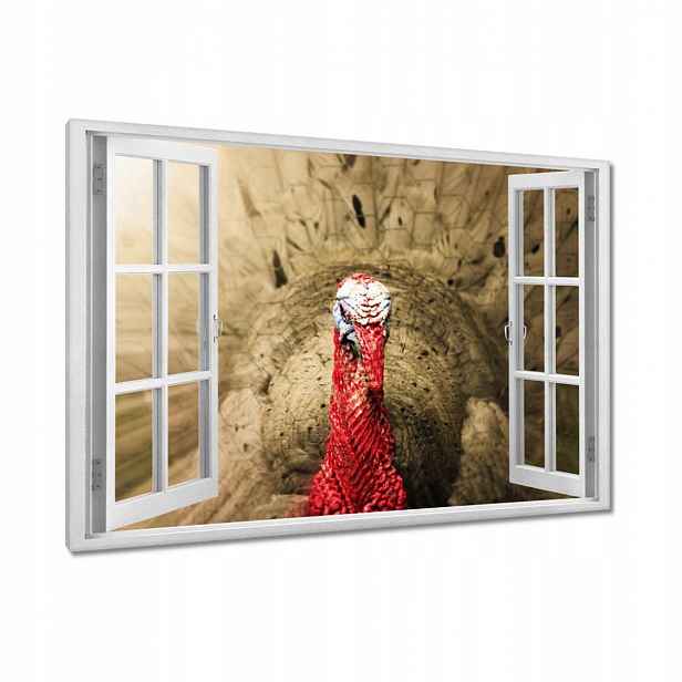 Obrazy 90x60 Krůta svátek Usa