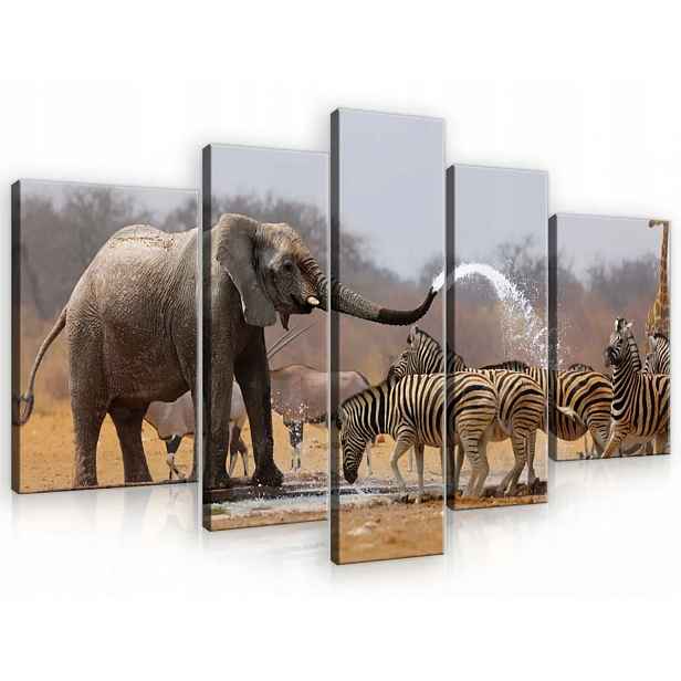 Obraz Na Plátně Canvas 170x100 Slon Zebra Zábava