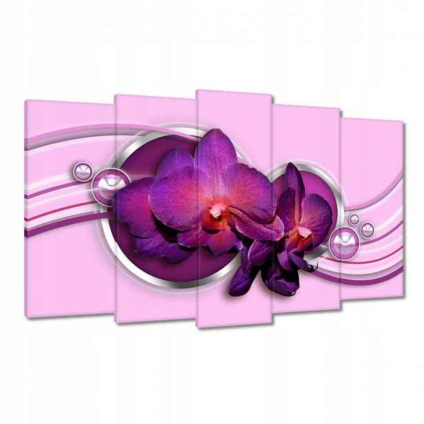 Obrazy 100x60 Fialový orchidej