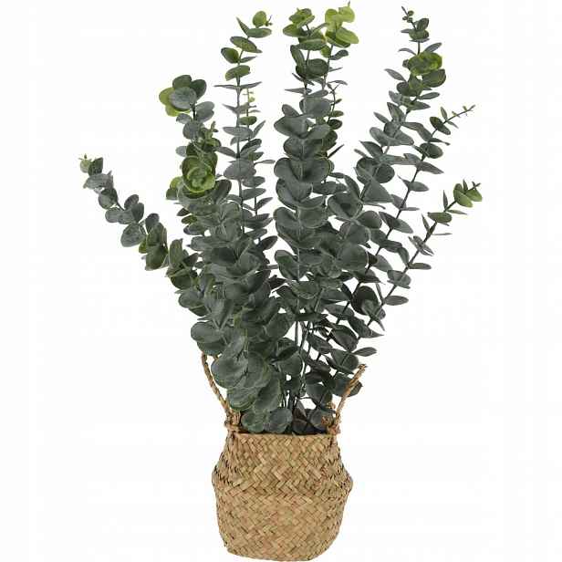 Umělá rostlina eukalyptu v košíku, 50 cm
