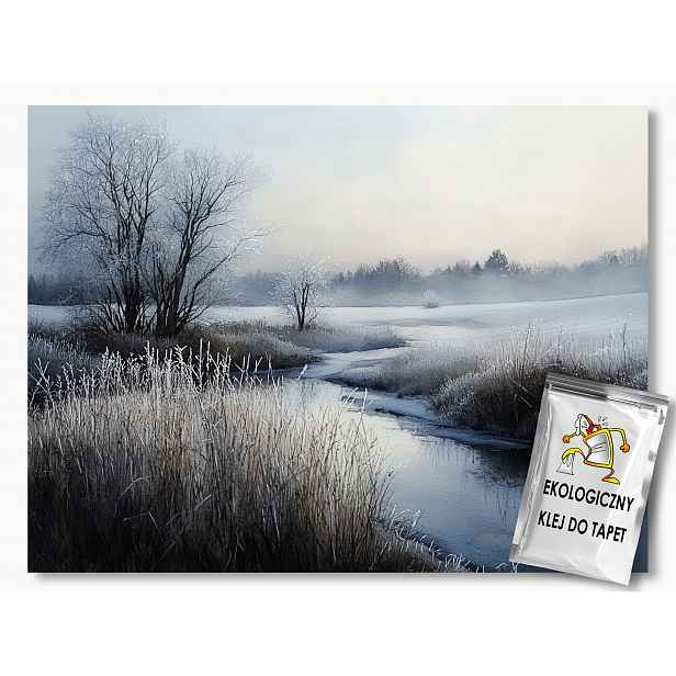 Fototapeta Flizelina Krajina Louka Proud Mlhy Námraza Zima 208x146 130g