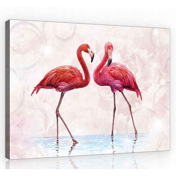 Obraz Na Plátně Canvas 80x60 Růžové Plameňáci