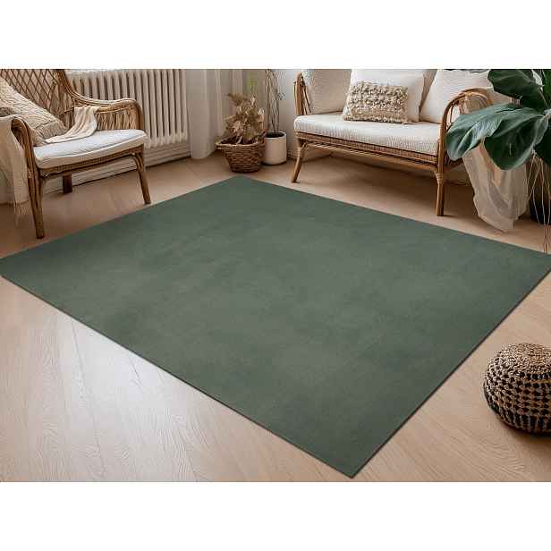 Koberec Albi 120x170 cm, zelený