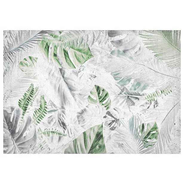 Fototapeta Listy Palmy Monstera Tropický vinylový mix 416x254 lepidlo