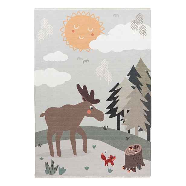 Kusový koberec My Greta 627 Moose, 115x170, vícebarevná, dětský pokoj, Obsession