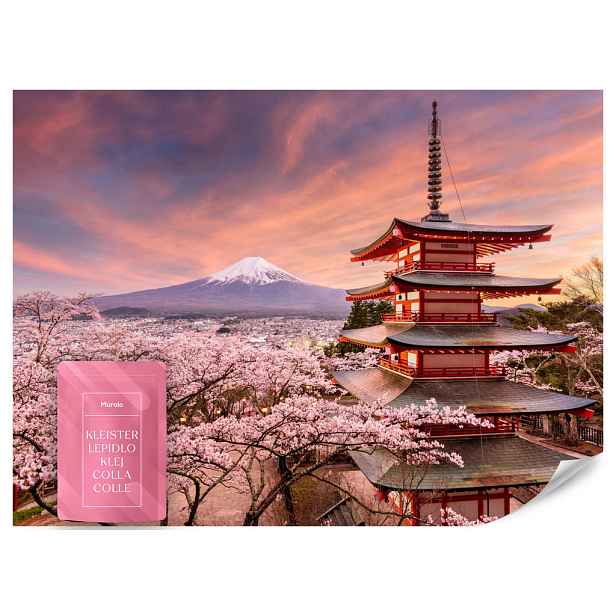 Muralo FOTOTAPETA Pagoda Hora Fudži Sakura Krajina 3D 450x315