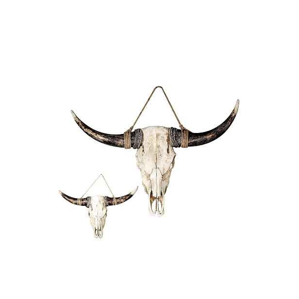 Nástěnná dekorace Buffalo, 38 x 24 cm