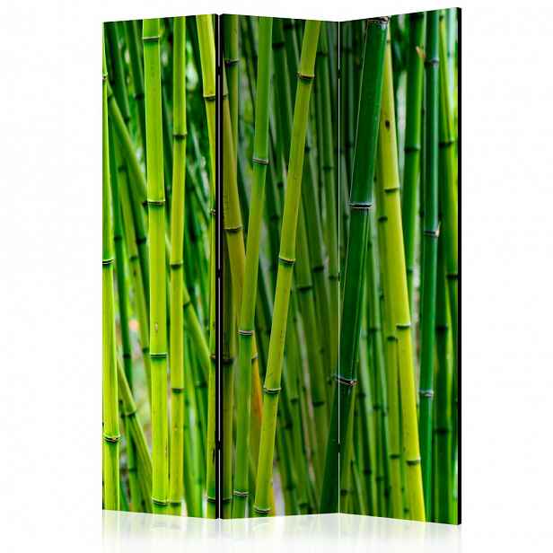 Paraván Bamboo Forest Dekorhome 135x172 cm (3-dílný)