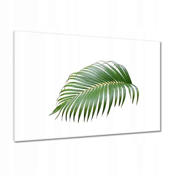 Obrazy 90x60 Zelený list Minimalismus