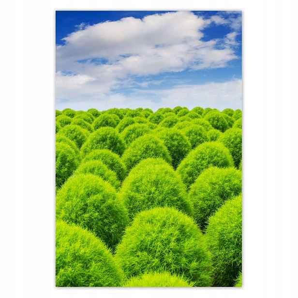 Plakáty 135x200 Zelený pohled Dolina