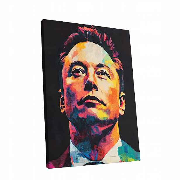 Obraz na plátně Portrét Elon Musk v obývacím pokoji Elona Muska dárek 60x80