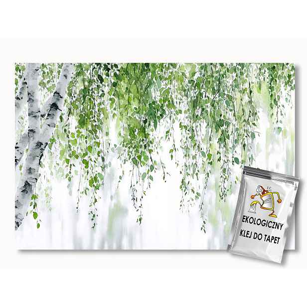Fototapeta Flizelina Příroda Dřevo Bříza Listy 208x146 130g