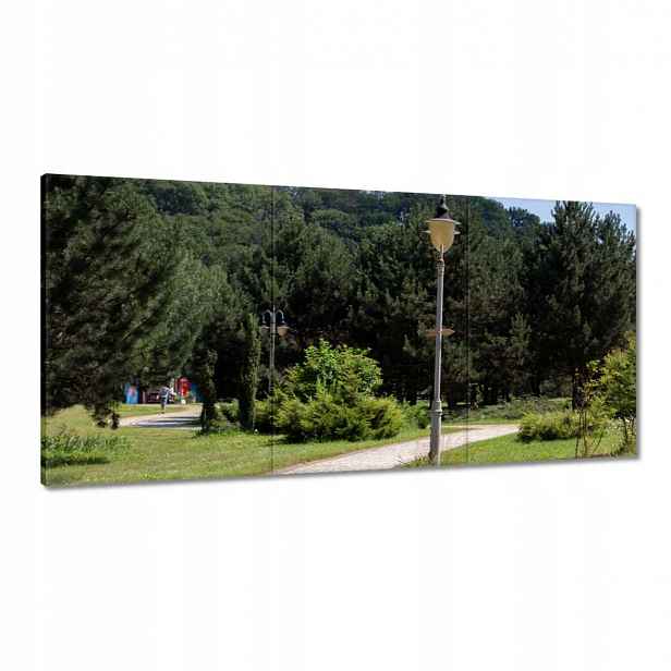 Obrazy 180x90 Zelený park se stromy