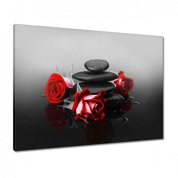 Obrazy 80x60 Červené růže Spa