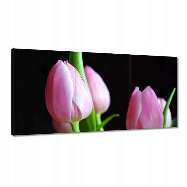 Obrazy 180x90 Fialové tulipány