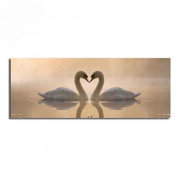 Obraz na plátně Swan Love, 90 x 30 cm