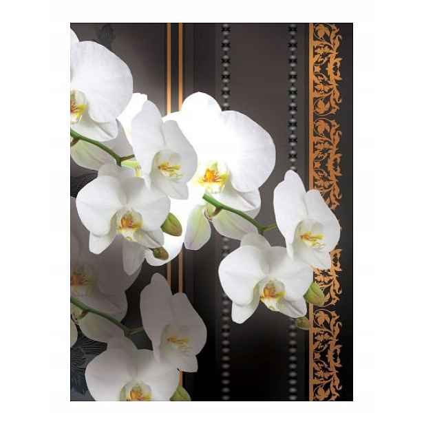Fototapeta Bílé orchideje zlato luxus vinylová 184x254 lepidlo