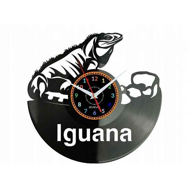 Iguana Ještěrka Legwan Nápad na Dárek Nástěnná Dekorace z vinylové desky