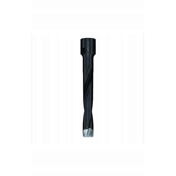 Cmt Fréza Pro Domino D=10 I=70 L=90 S=M8x1 380.101.11