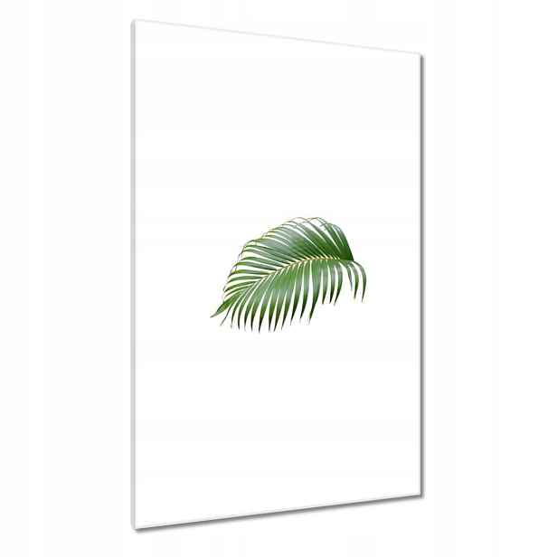 Obrazy 80x120 Zelený list Minimalismus