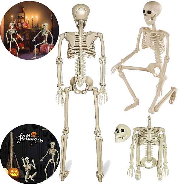94 cm Lebka s pohyblivými klouby pro Halloween