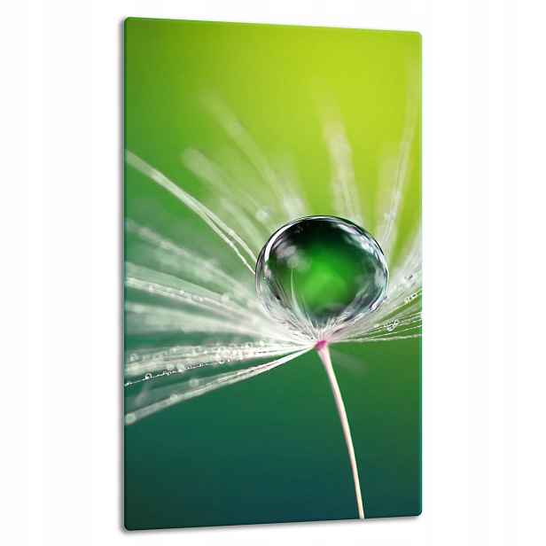 7v1 Skleněná Deska Panel Deska 30x52 Květina