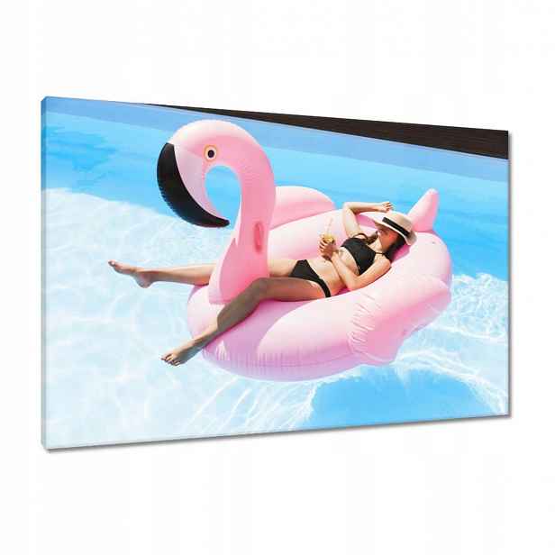 Obrazy 90x60 Slečna na růžovém plameňáku