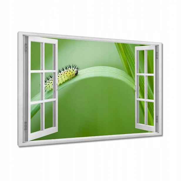 Obrazy 120x80 Zelená housenka