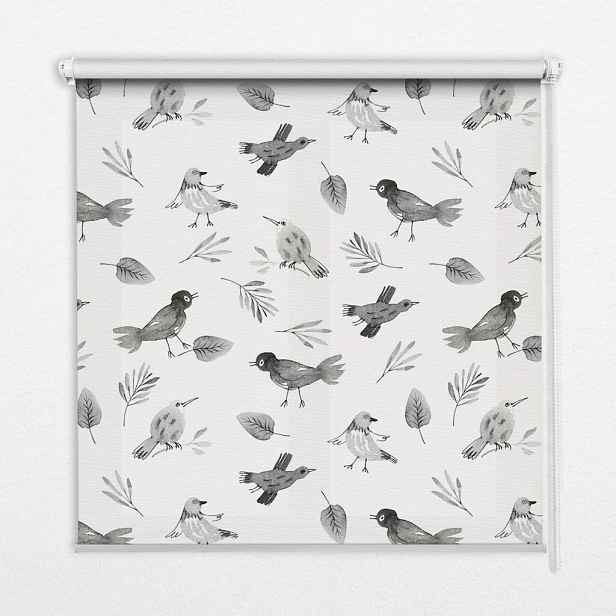 TULUP VNITŘNÍ roleta - okenní roleta - roleta - 80x180 cm - Kreslení ptáci a listy