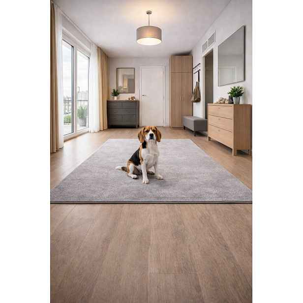 Kusový koberec Eton šedý 73, 300x400, šedá, chodba / předsíň, Vopi