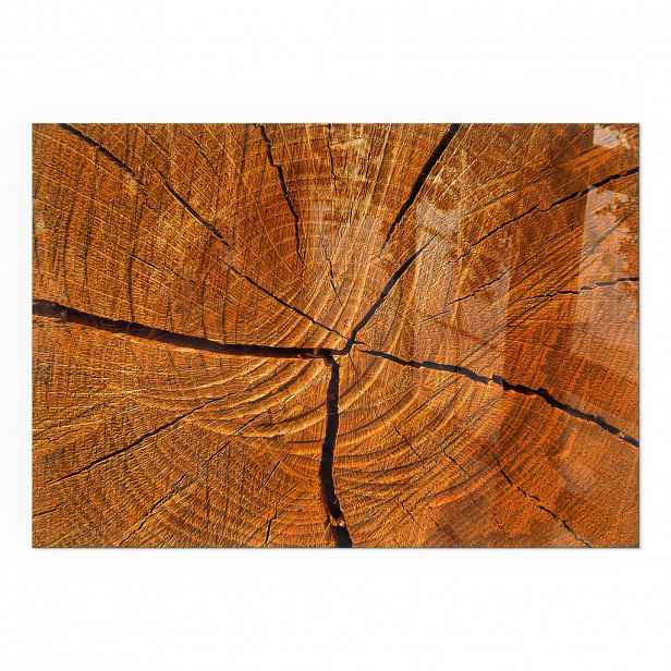 TULUP PODLOŽKA POD KRB 100x70 cm - Kresba dřeva v příčném řezu