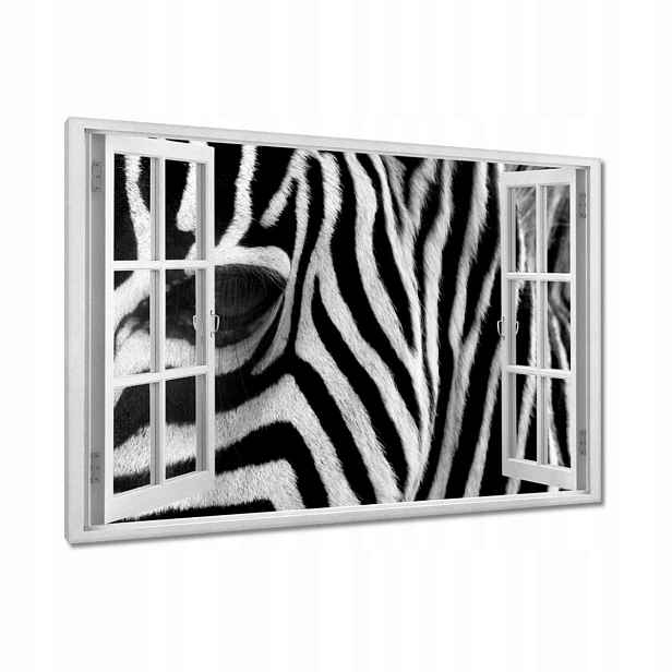 Obrazy 90x60 Černobílé pruhy Zebra