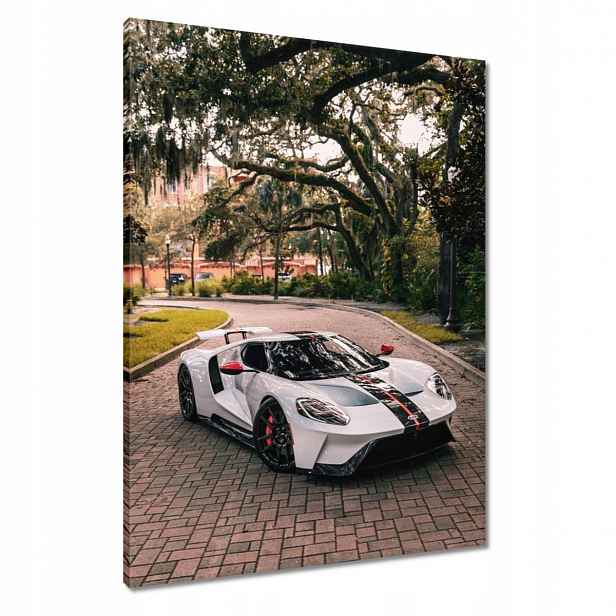 Obrazy 60x80 Ford auto