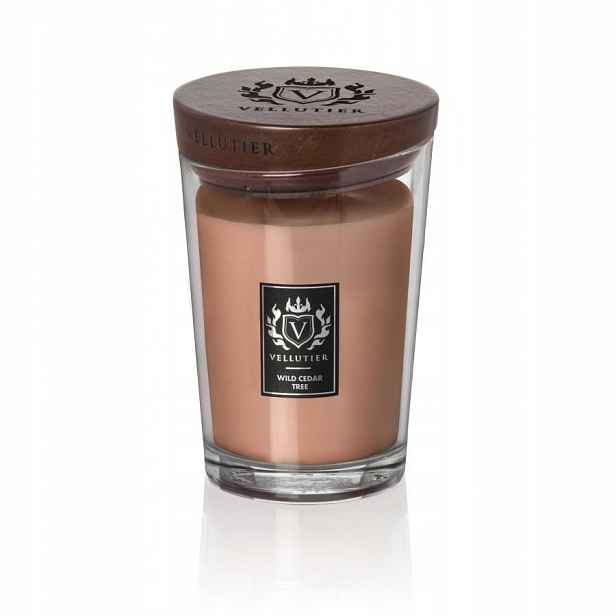 Wild Cedar Tree – Vellutier – velká vonná svíčka
