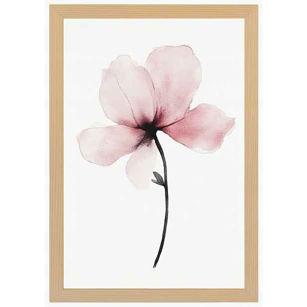Plakát Rámeček Dřevo Akvarel Příroda Zahrada Květ Růžová Magnolie 40x60