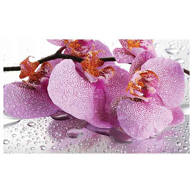 Fototapeta Orchidej růžová elegance vinylová 416x254 lepidlo