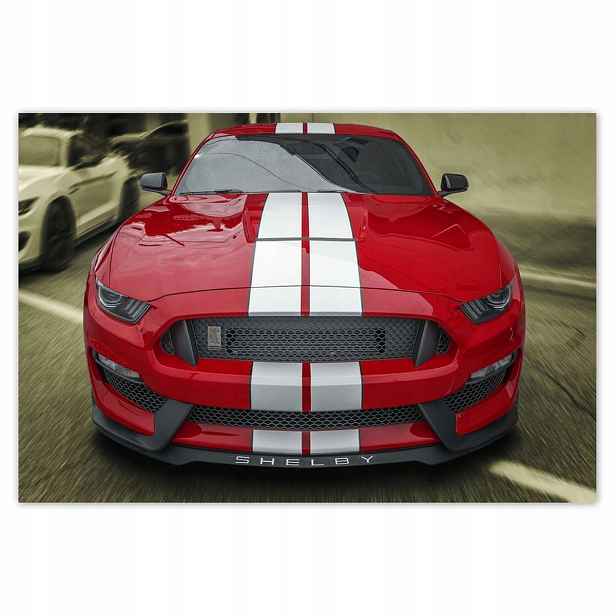 Plakáty 185x125 GT350 Ford Mustang Shelby