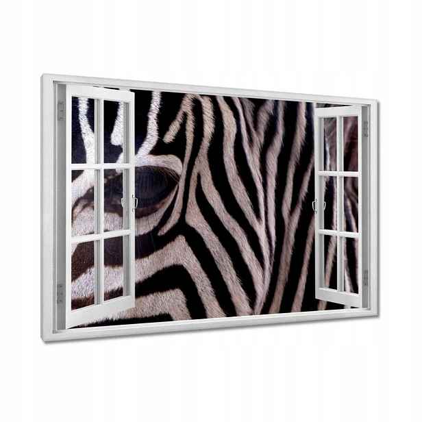 Obrazy 90x60 Makro fotografie zebra