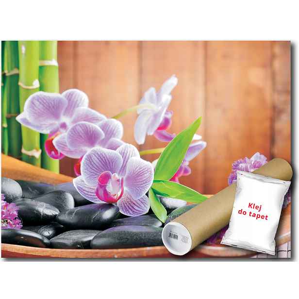 Fototapeta Spa Wellness 25A Fxl 208x146 F115