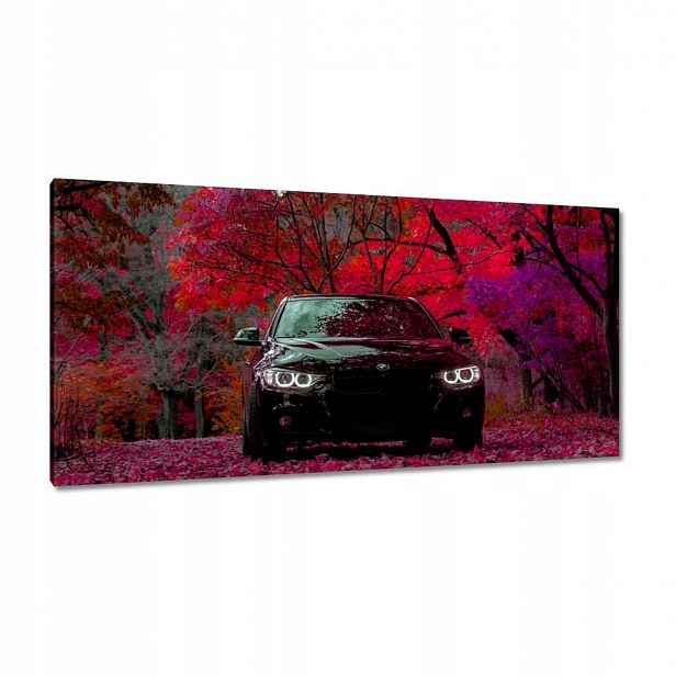 Obrazy 115x55 Černé Bmw Podzim