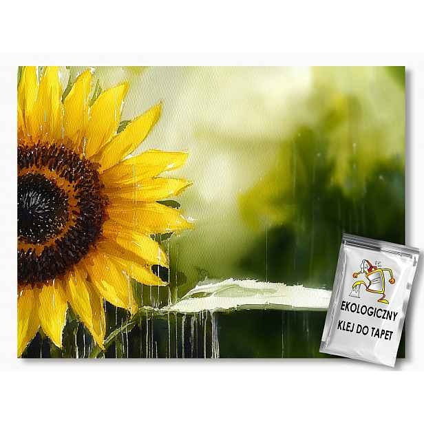 Fototapeta Flizelina Příroda Květ Slunečnice Léto 312x219 130g