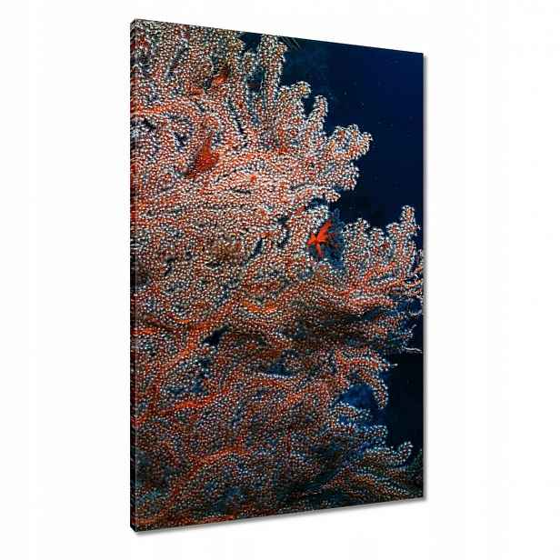 Obrazy 60x90 Modrý oceán s útesem