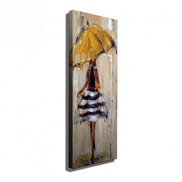 Obraz na plátně Josephine, 30 x 80 cm
