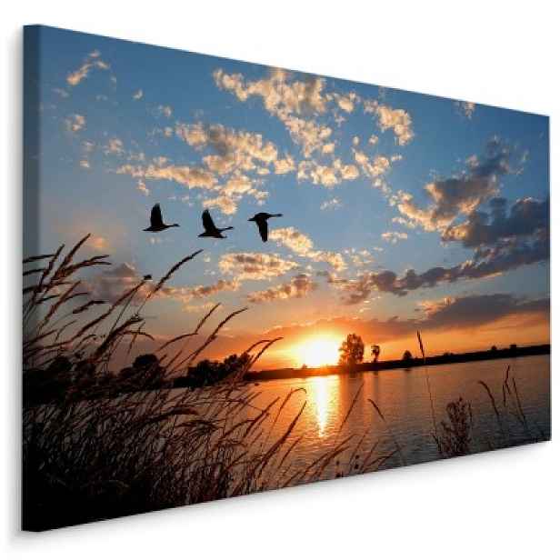Plátno Ptáci Při Západu Slunce Varianta: 30x20