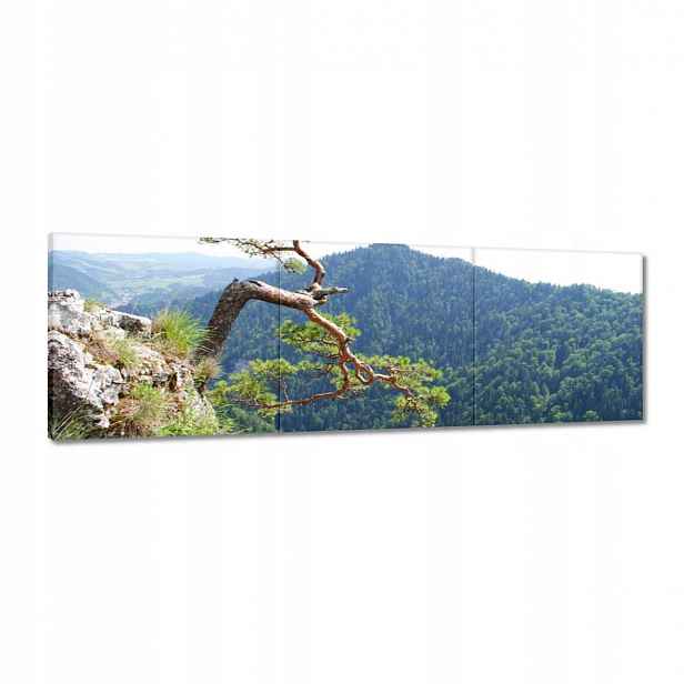 Obrazy 120x40 Osamělý strom