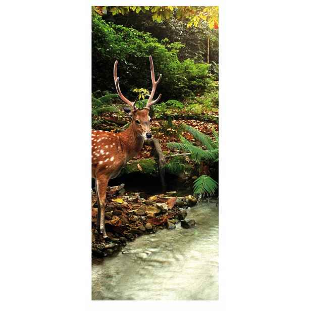 Fototapeta samolepicí dýha na dveře, samolepka