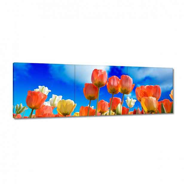 Obrazy 120x40 Barevné tulipány Květiny